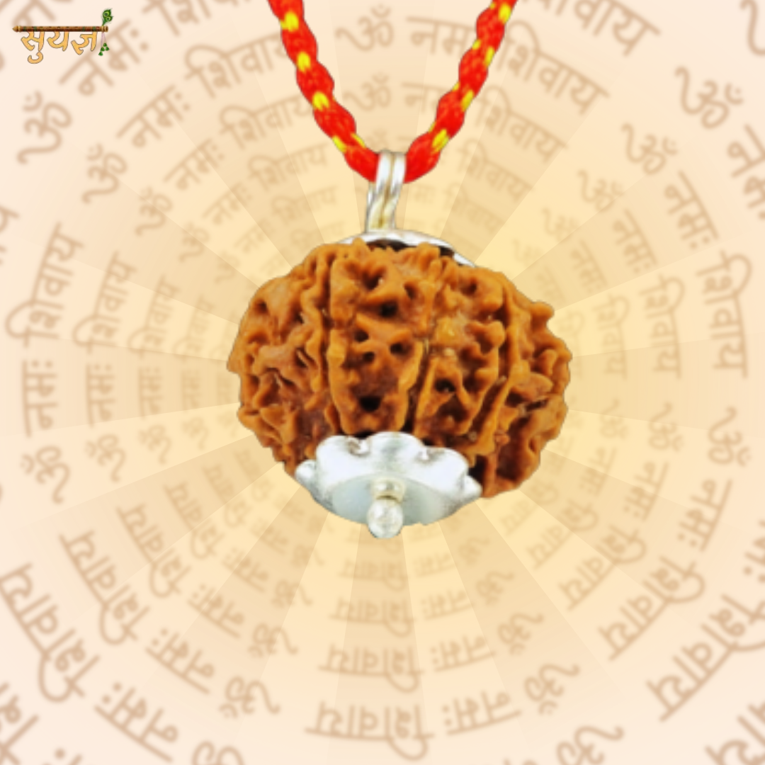 9 (मुखी) Faces Rudraksh (Premium)